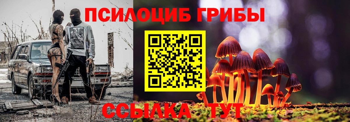 Псилоцибиновые грибы Cubensis Черногорск